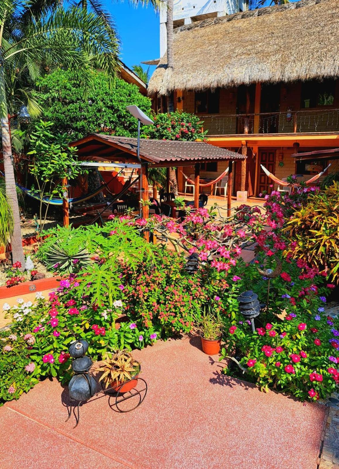 Hotelito Swiss Oasis, Playa Zicatela - Adults Only - No Groups - Kitchen Puerto Escondido  Exterior photo
